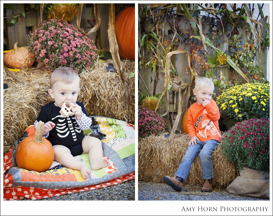 madison indiana photographer, child portrait photographer, fall mini session, styled session, halloween costume session, amy horn photography, family photographer, madison mini sessions, little golden fox, fall photo session, child portraits019.jpg